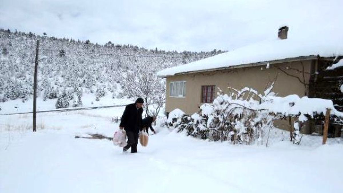 Karda Aç Kalan Köpekler Unutulmadı