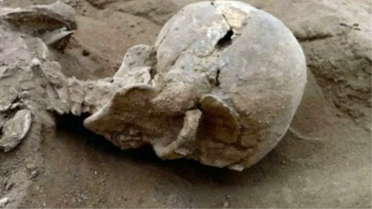 Savaşlara Dair Dünyanın En Eski Kanıtı