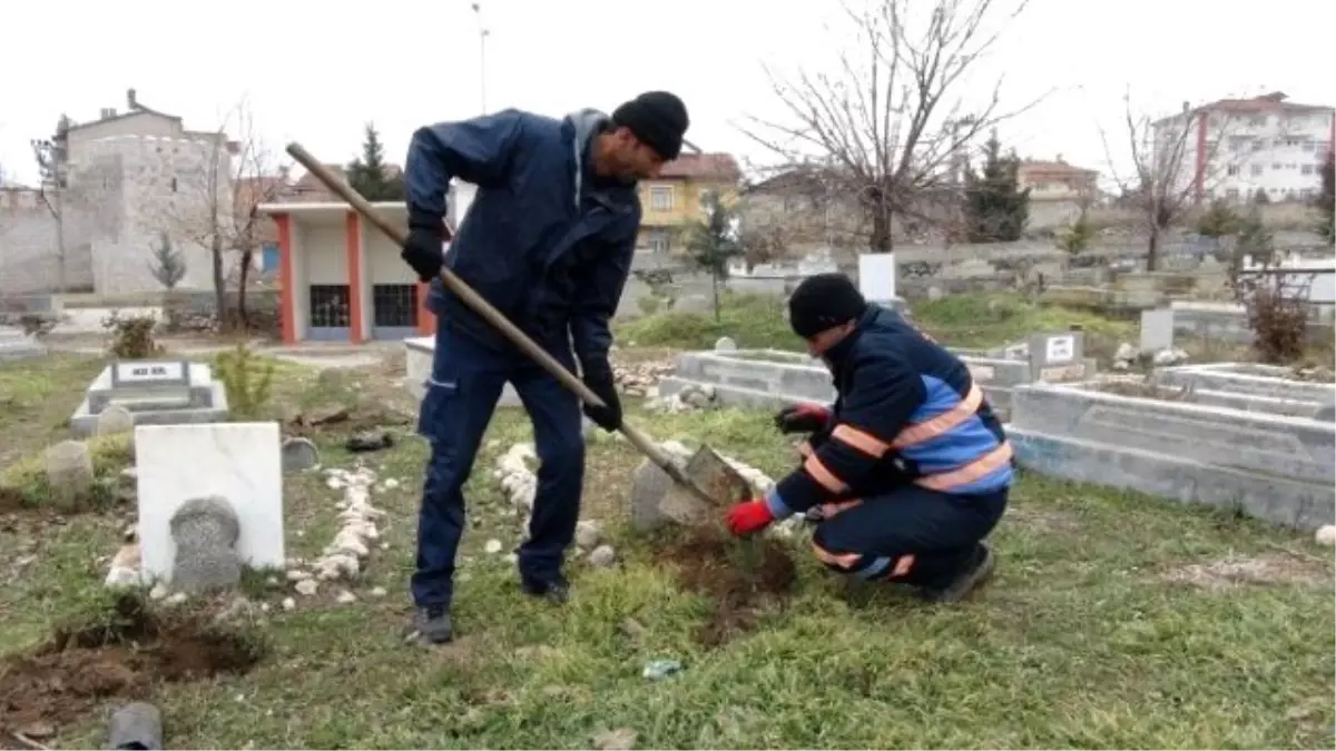 Sıptırız Mezarlığı\'na 300 Adet Fidan Dikildi