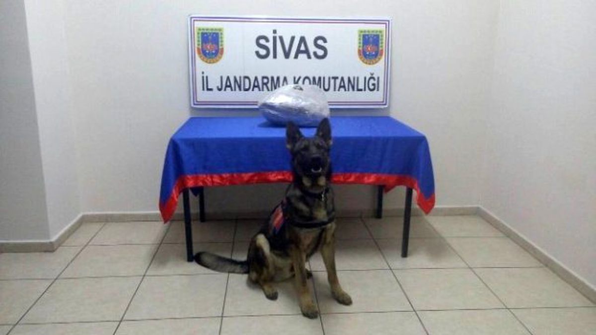 Sivas\'ta Yolcu Otobüsünde Esrar Ele Geçirildi