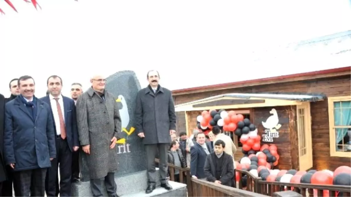 Tarihi Kavak Evi\'nde Tirit Keyfi