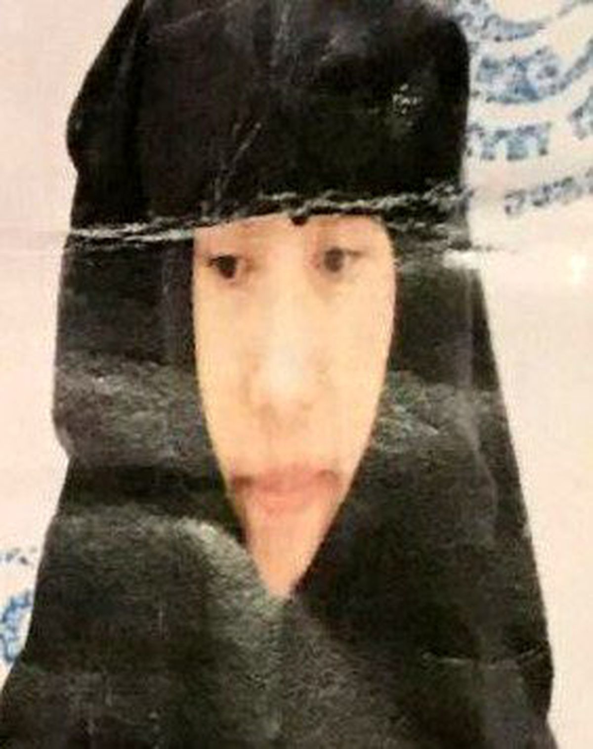 4 Aylık Hamile Kadın 17'inci Kattan Atlayarak İntihar Etti