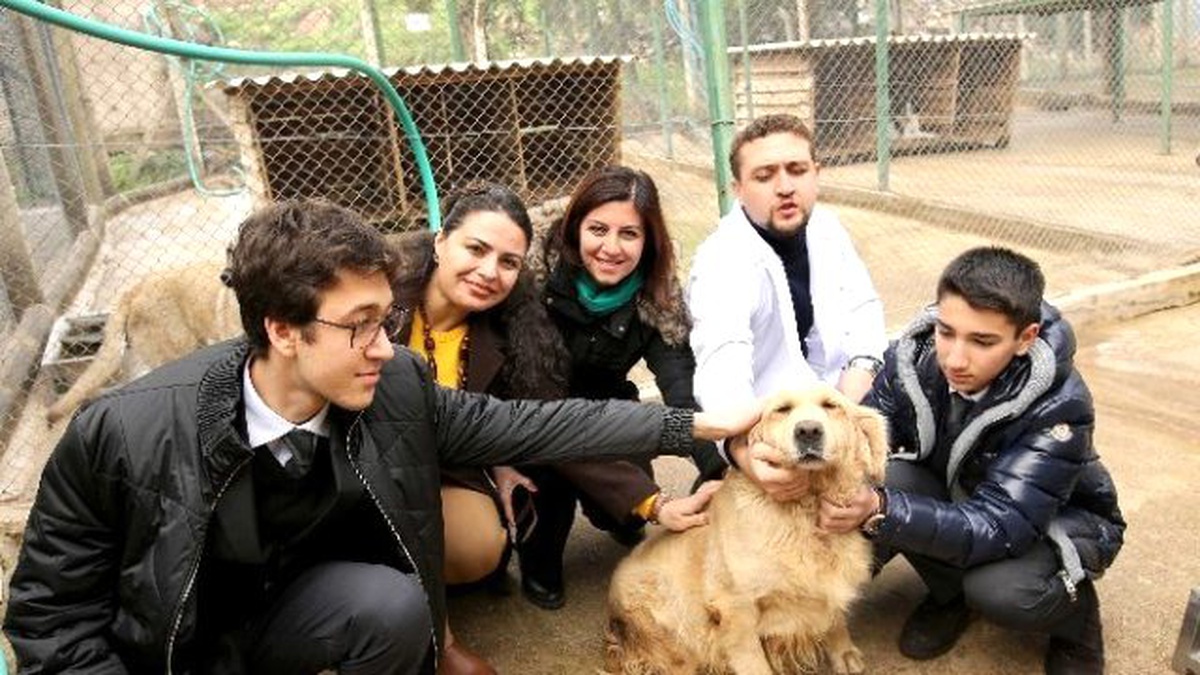 Atıklardan Sokak Hayvanlarına Kulübe Yaptılar