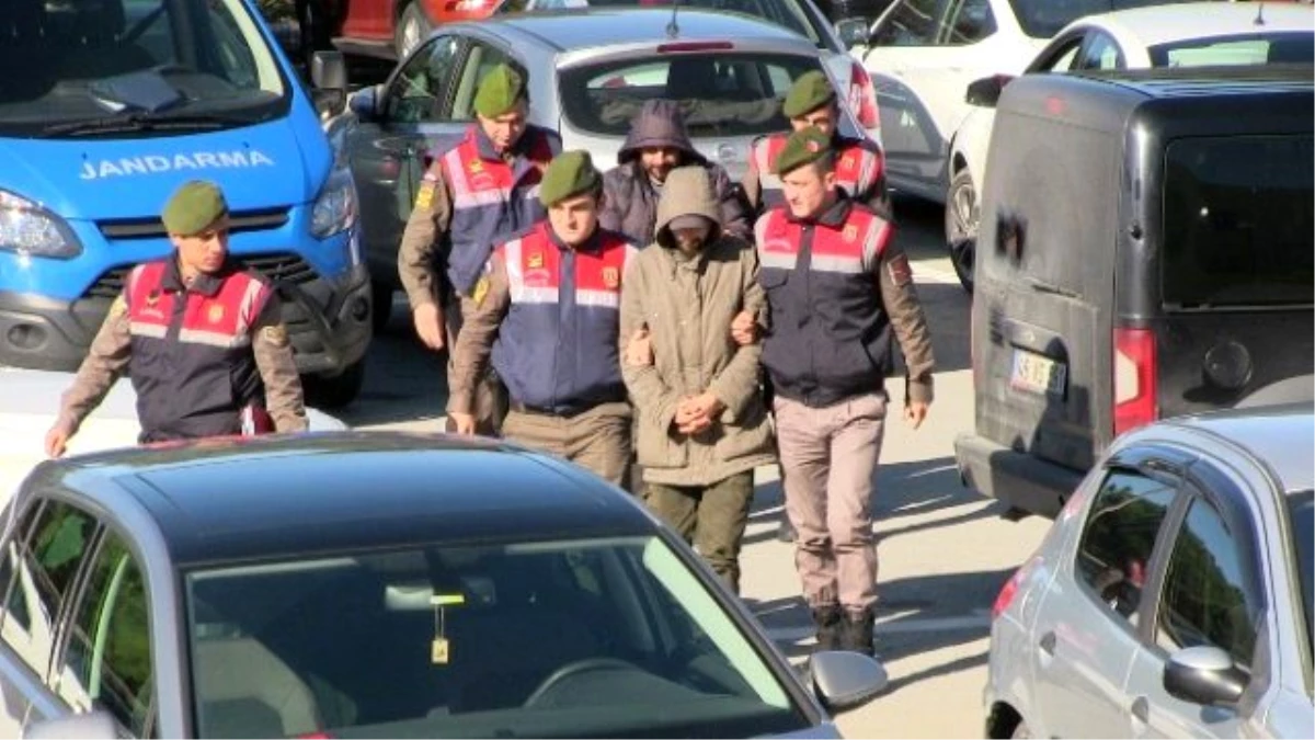Bodrum\'da 4 İnsan Taciri Jandarma Tarafından Yakalandı