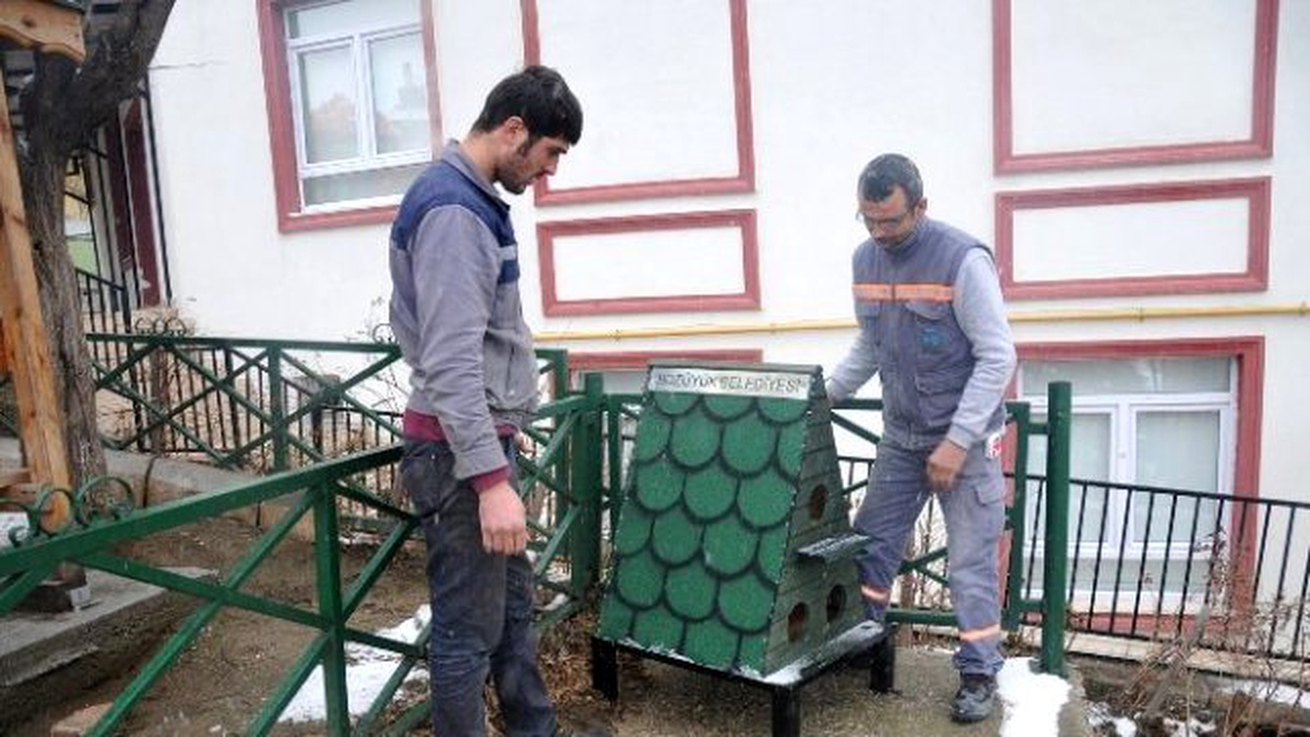 Bozüyük Belediyesi\'nden Kedilere Sıcak Yuva