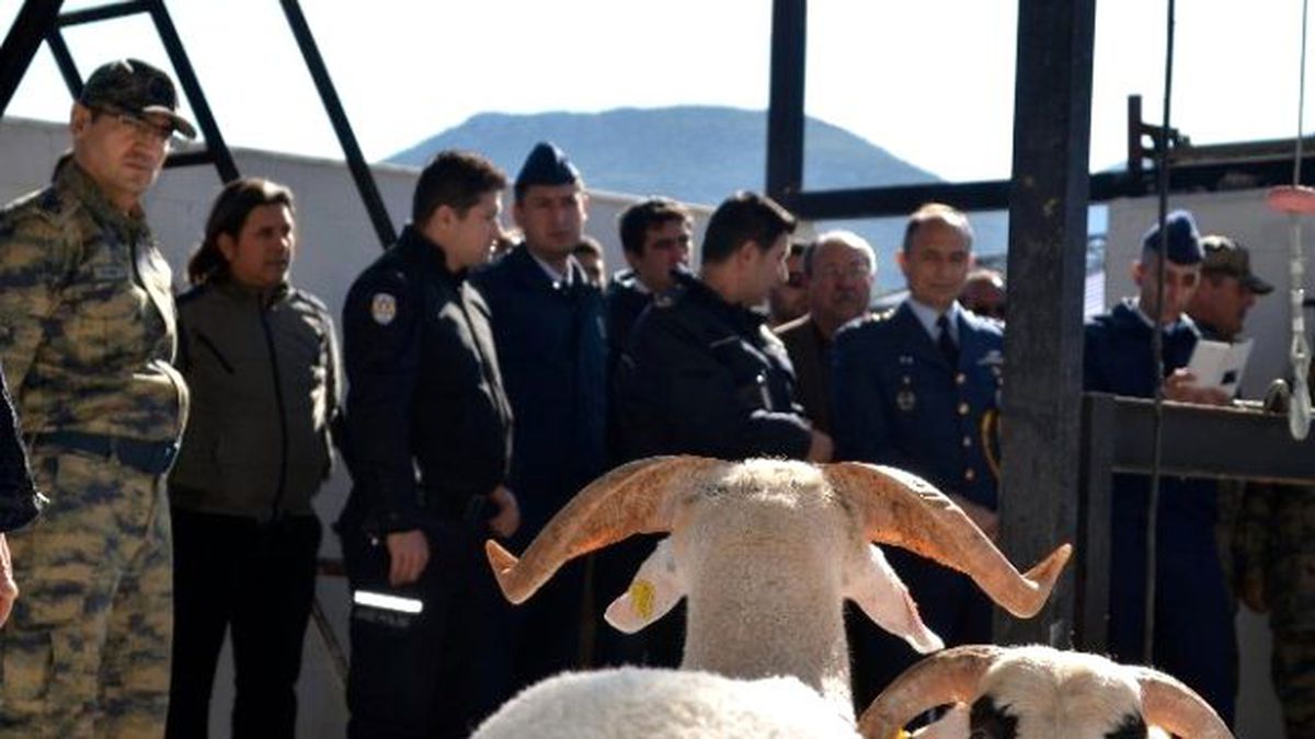 Datça Polisi Terörle Mücadele Kahramanları İçin 30 Kurban Kesti