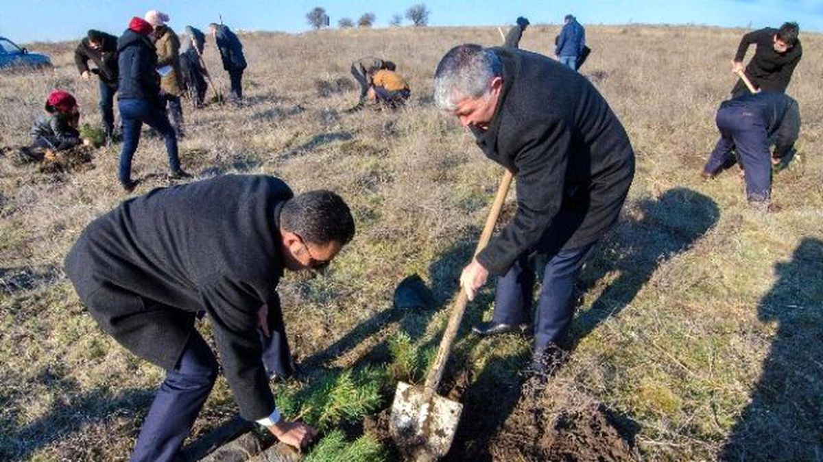 Edirne\'de Gümrükçüler Fidan Dikimi Gerçekleştirdi