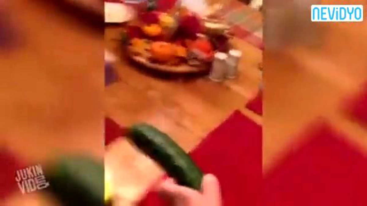 Salatalıktan Korkan Kedi" Videosunu Kocasında Denedi!