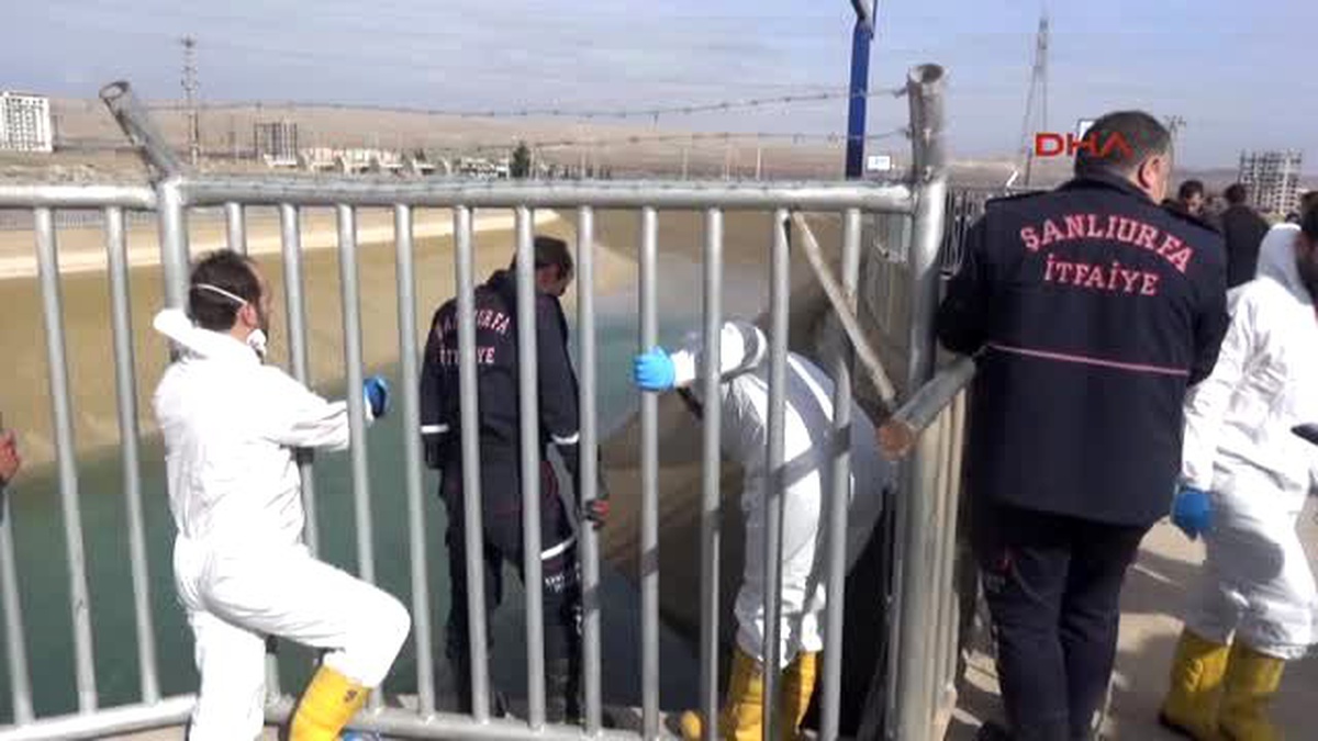 Şanlıurfa Sulama Kanalında Ceset Parçaları Bulundu
