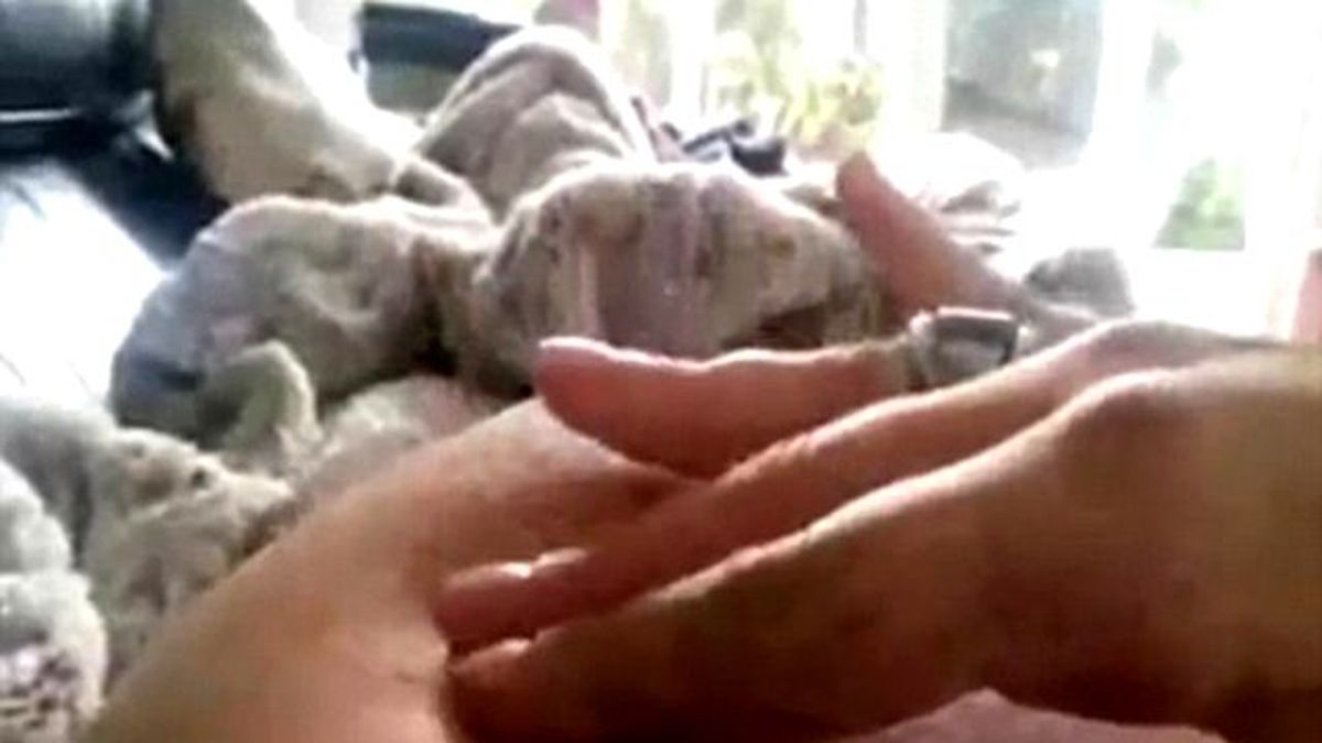 Anne Karnındaki Bebeğin Hareketi Şaşırttı