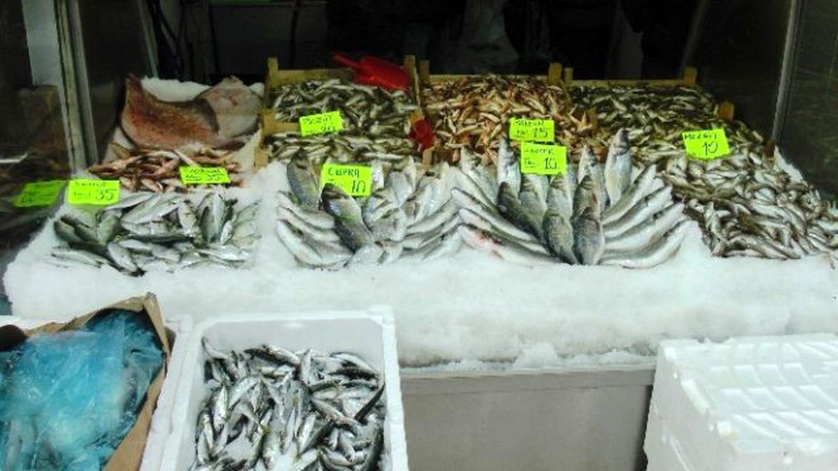Kar Karadeniz\'e Düştü, Balık Fiyatları Uçtu
