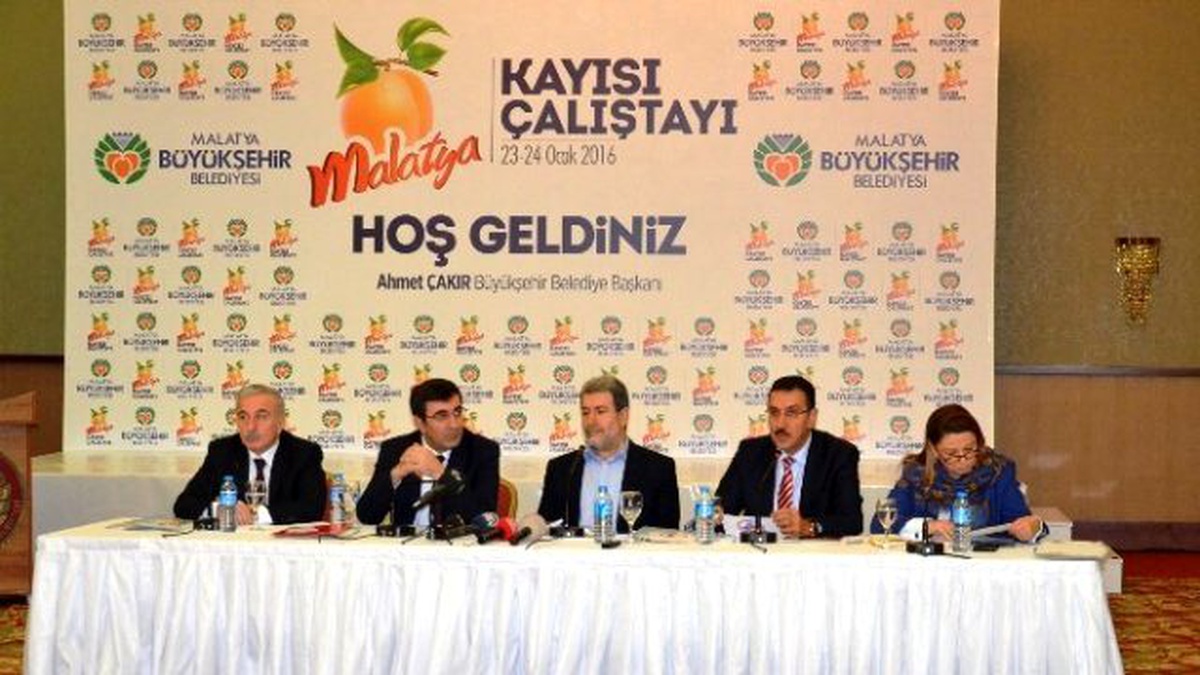 Malatya\'da "Kayısı Çalıştayı" Düzenlendi
