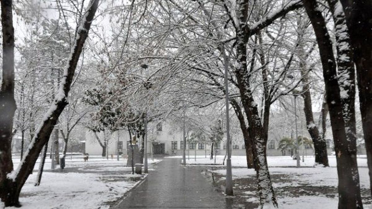 Sakarya\'dan Kar Manzaraları