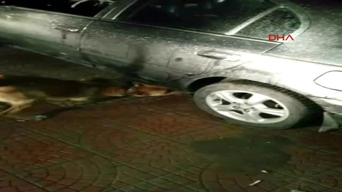 Şanlıurfa Otomobilin Yakıt Deposundan 19 Kilo Eroin Çıktı