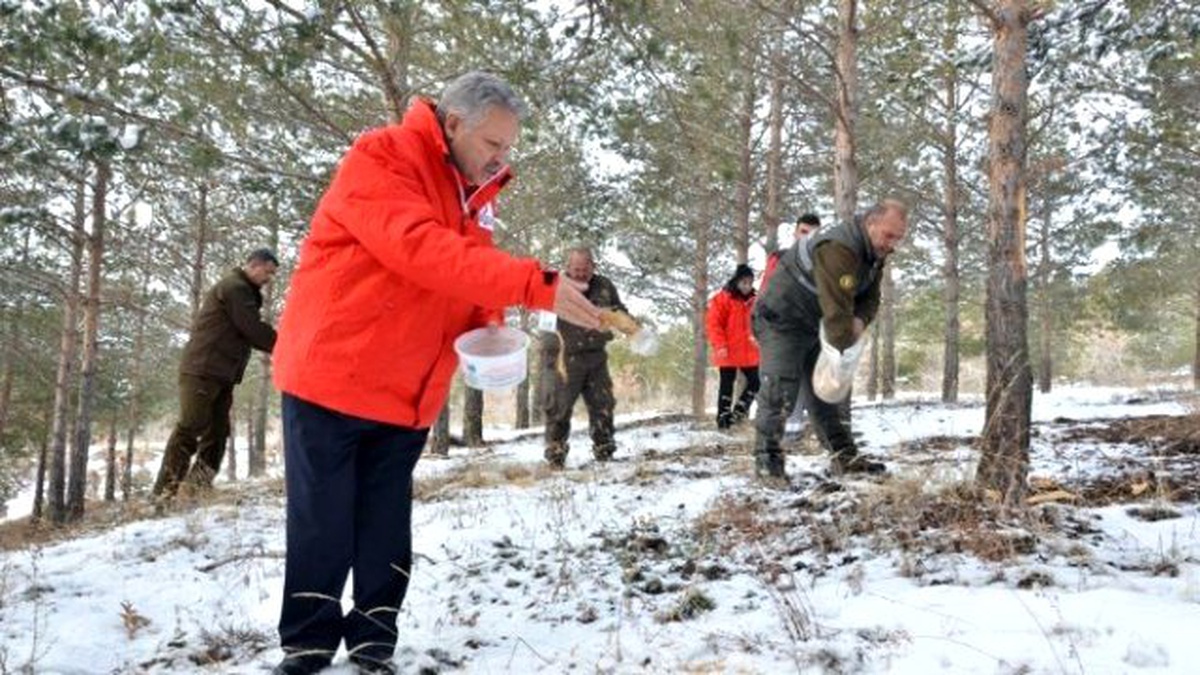 Vali Kahraman, Sokak ve Yaban Hayvanları İçin Doğaya Yem Bıraktı