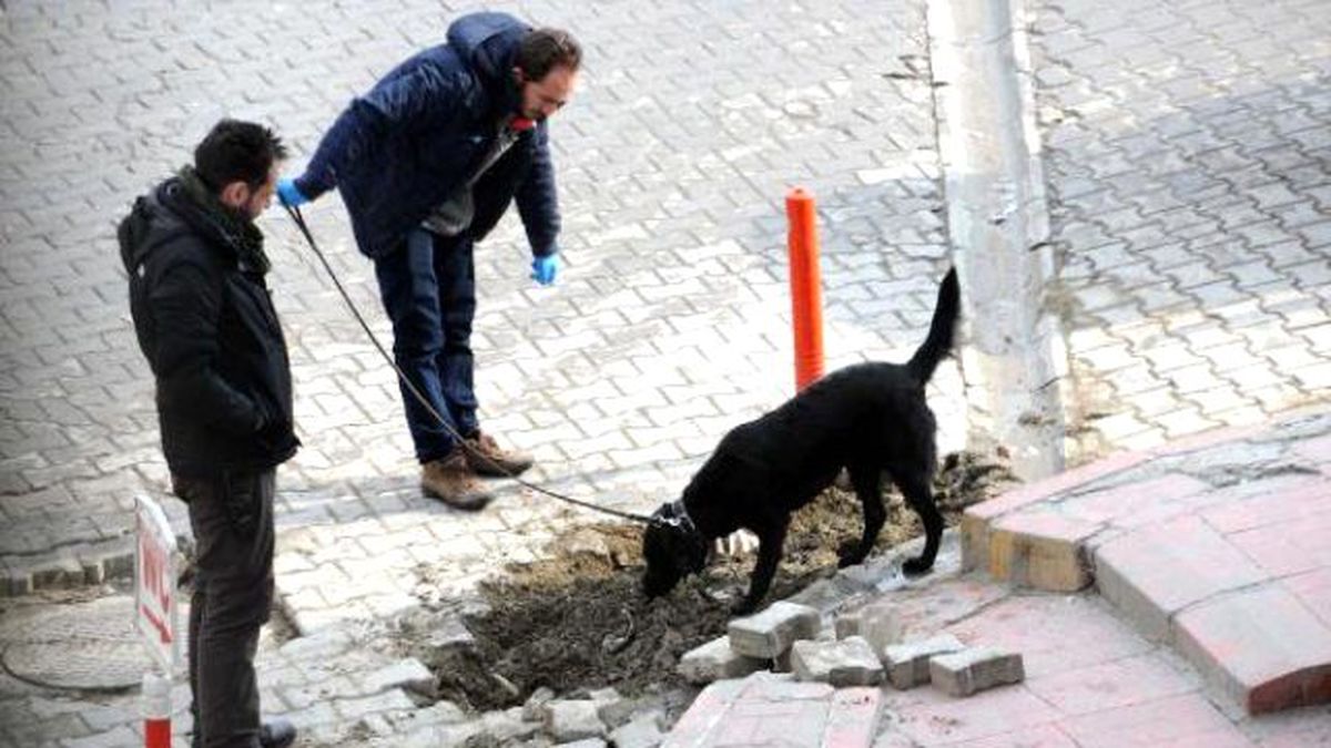 Van\'da Bomba İhbarı Polisi Harekete Geçirdi