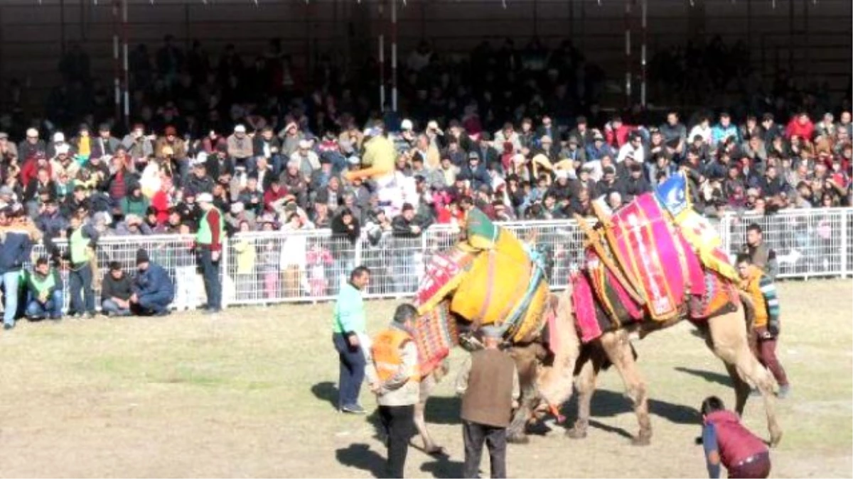 Develer Mobese İçin Güreşti