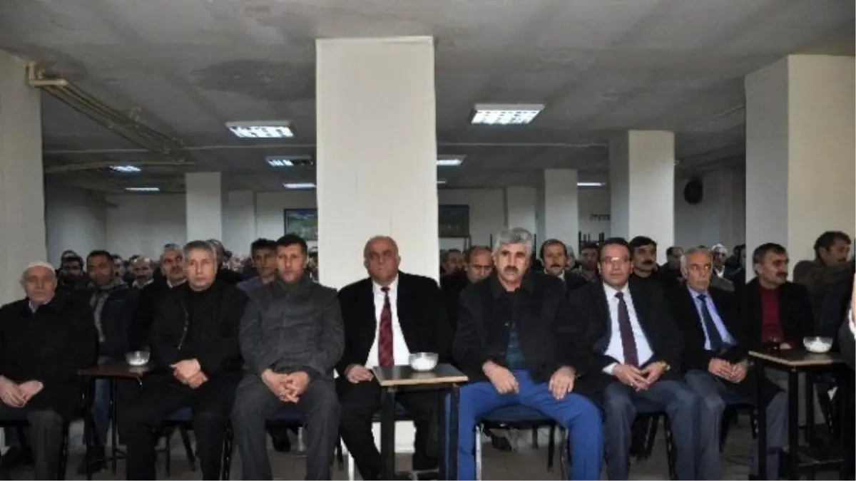 Kaya, Güven Tazeledi