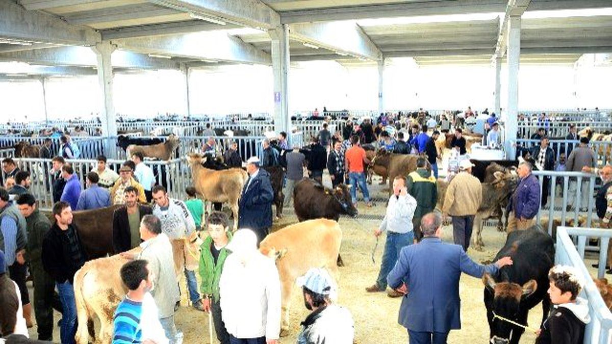 Konya\'da Modern Hayvan Pazarı ve Saman Borsası İlgi Görüyor