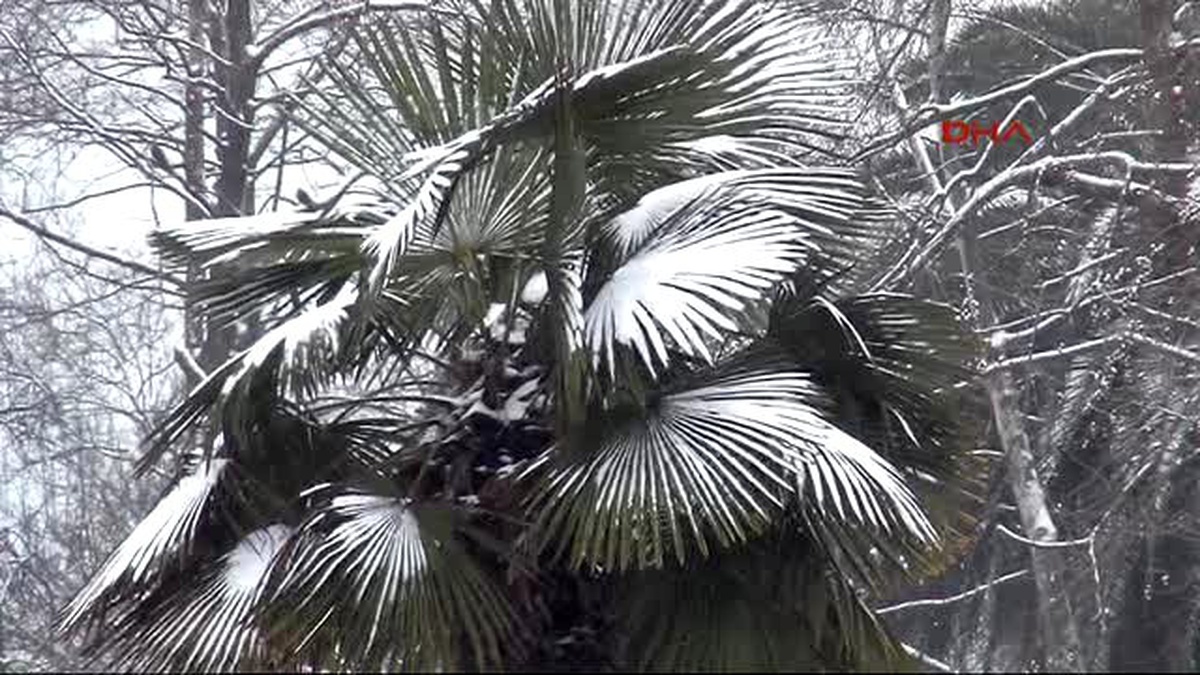 Zonguldak\'ta Kar Yaşamı Olumsuz Etkiledi