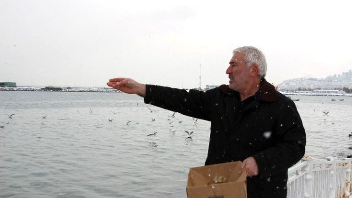 Aç Kalan Martıları Besledi