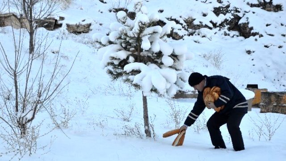 Bünyan Belediyesi Sokak ve Yaban Hayvanları İçin Doğaya Yiyecek Bıraktı