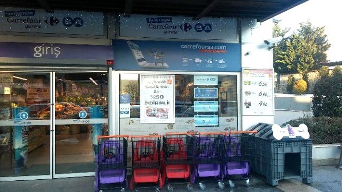 Carrefoursa\'dan Sokak Hayvanları İçin "Dost Hareketi" Projesi