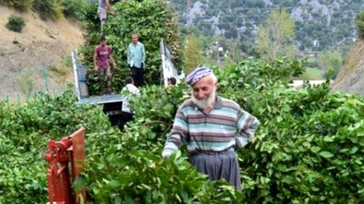 Defne Değil \'Define\'