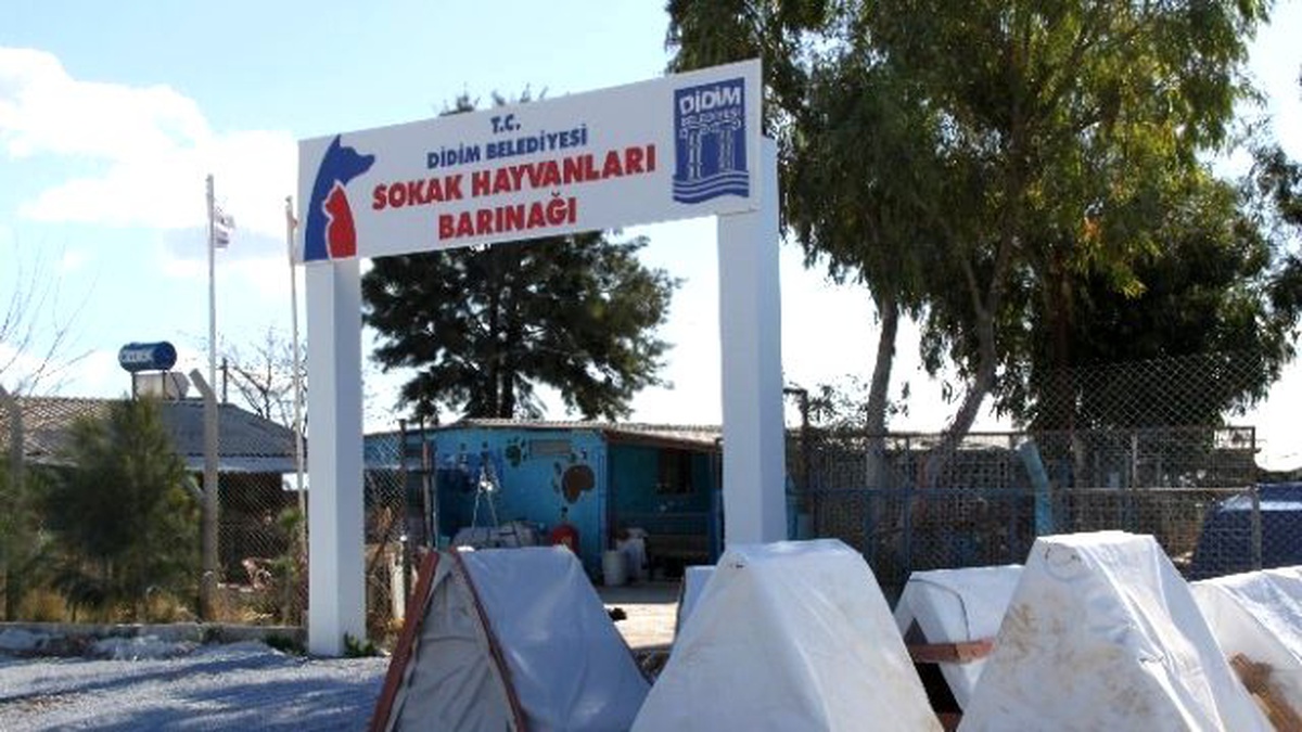 Didim Belediye Barınağından Sokak Hayvanları İçin Anlamlı Çalışma