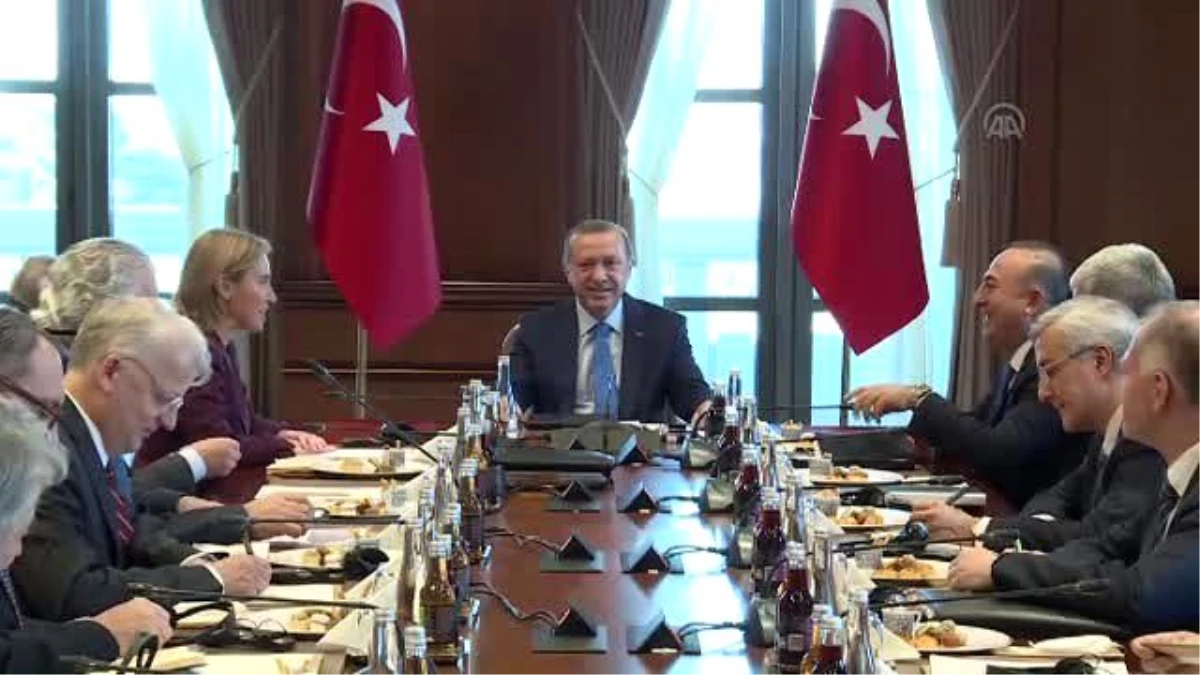 Erdoğan-Mogherini Görüşmesi