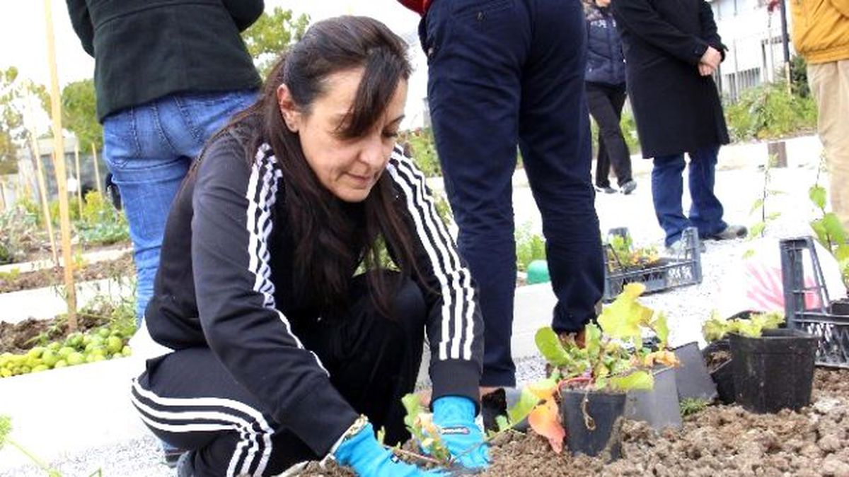 Sebze Yetiştiriciliğinde Yeni Dönem Şubat\'ta Başlıyor