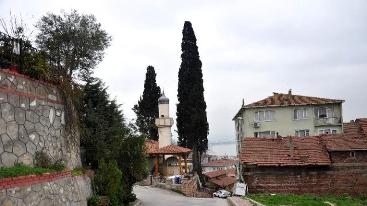 Sırrıpaşa Caddesi Sağlıklaştırma İhalesi 28 Ocak\'ta Yapılacak