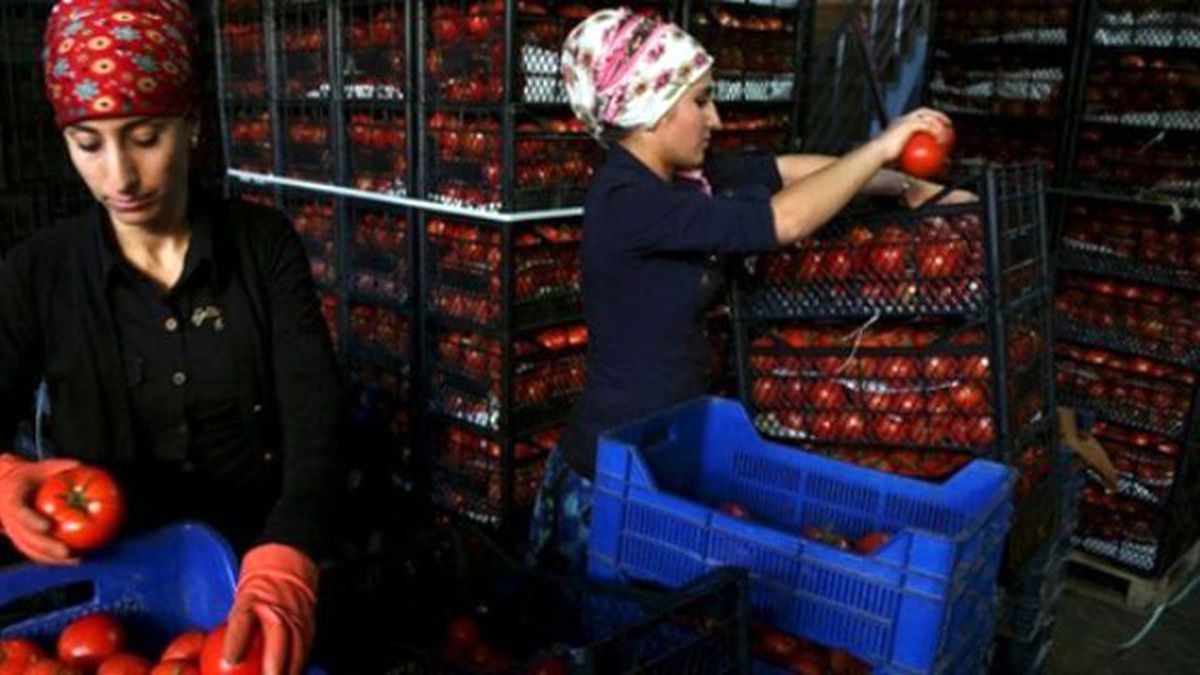 TÜSES: Rusya Krizinin Maliyeti 11 Milyar Doları Geçecek