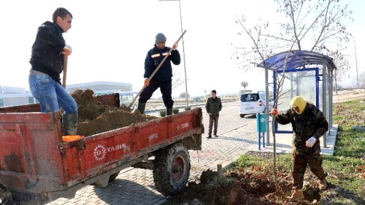 Yunusemre\'de 2023 Çınar Toprakla Buluştu