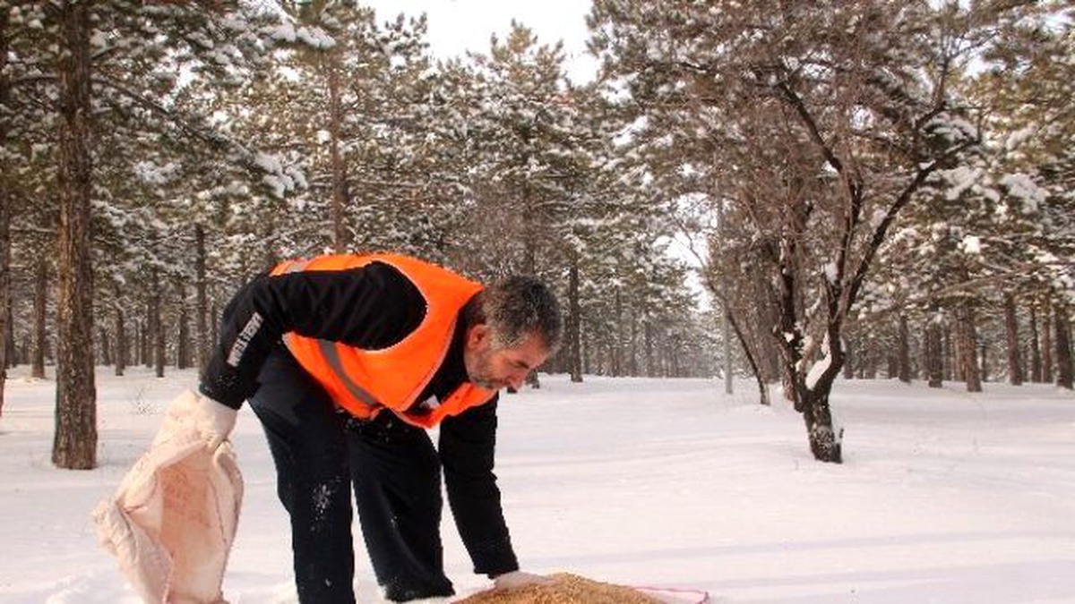 Elazığ\'da Kuşlar İçin 1 Ton Yem Bırakıldı