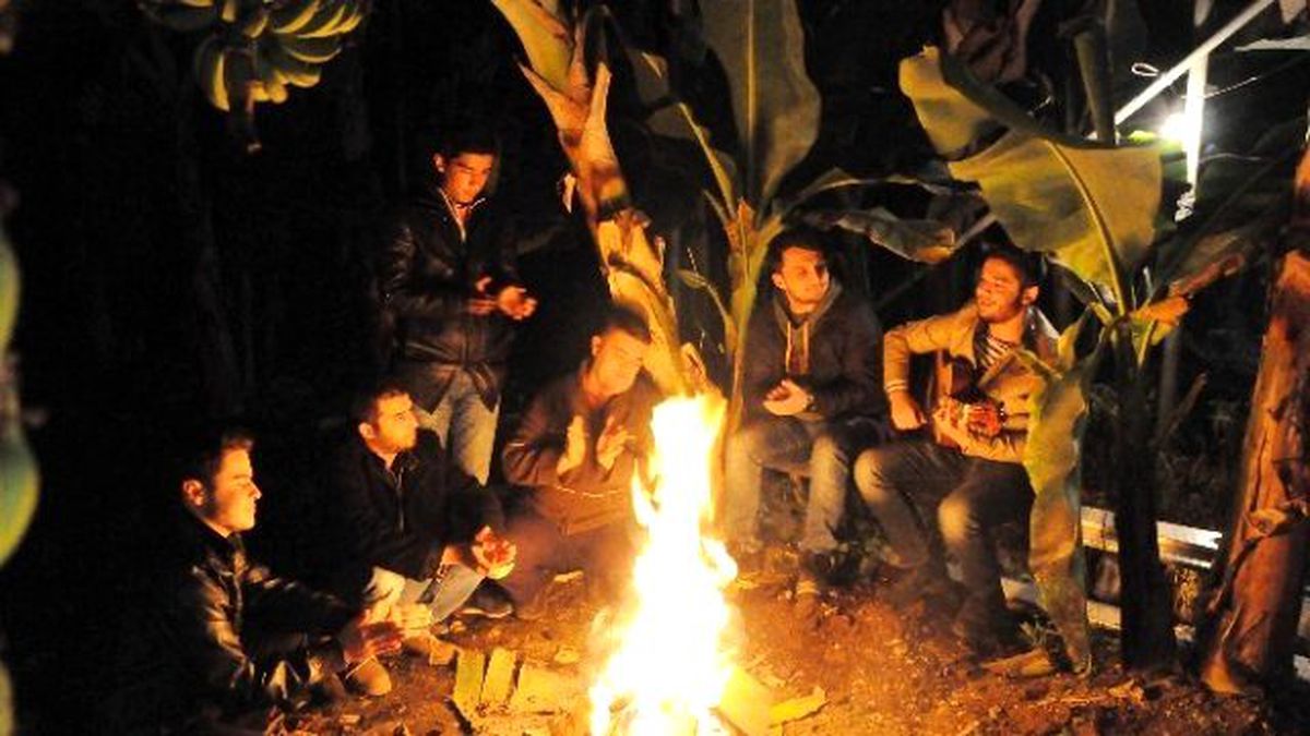 Gitarlı Zirai Don Nöbeti