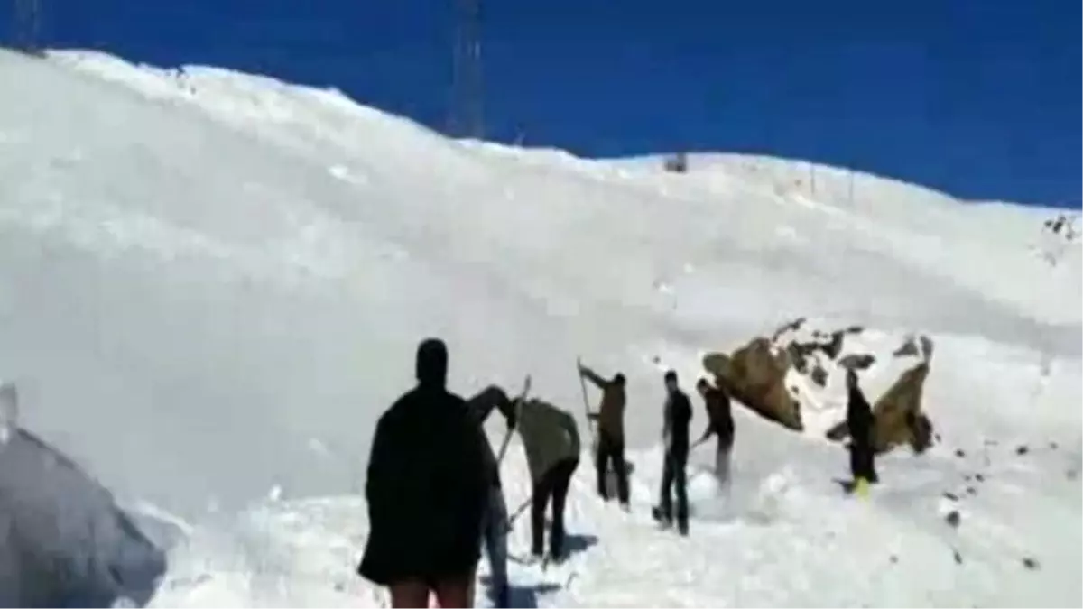 Hakkari\'de Küreklerle Yol Açma Çalışması