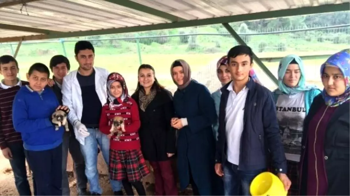 İmam Hatip Liseli Öğrencilerden Hayvanlara Mama ve Süt