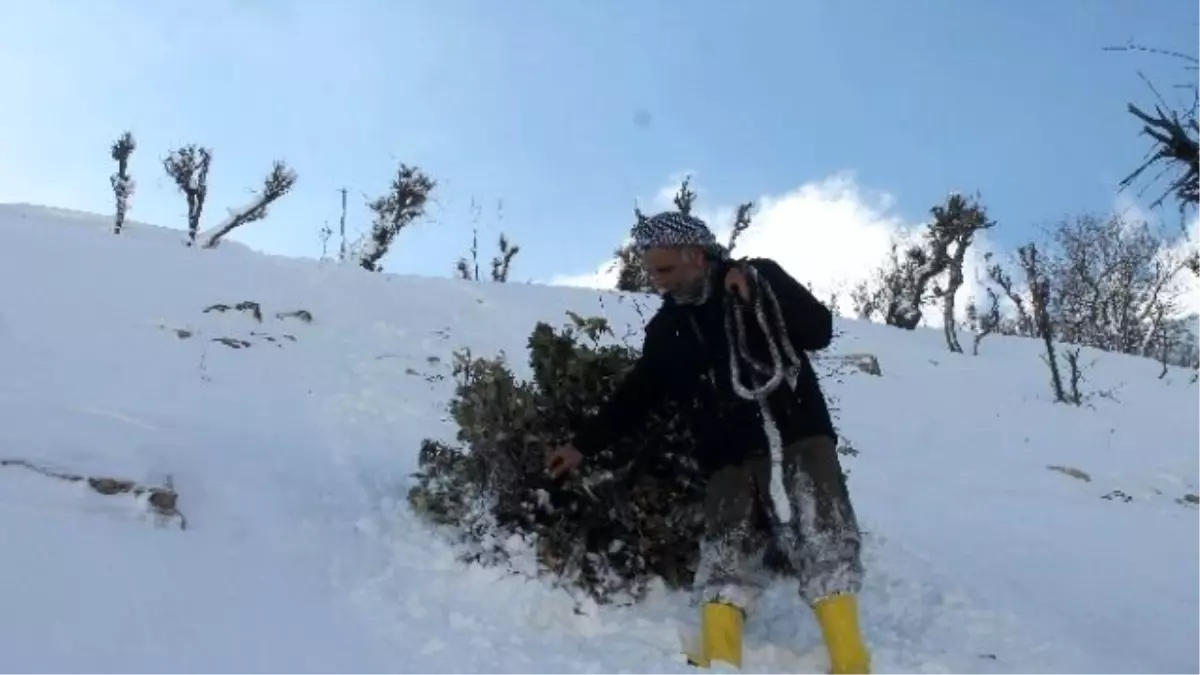 Sınırın Sıfır Noktasında Yaşam Mücadelesi