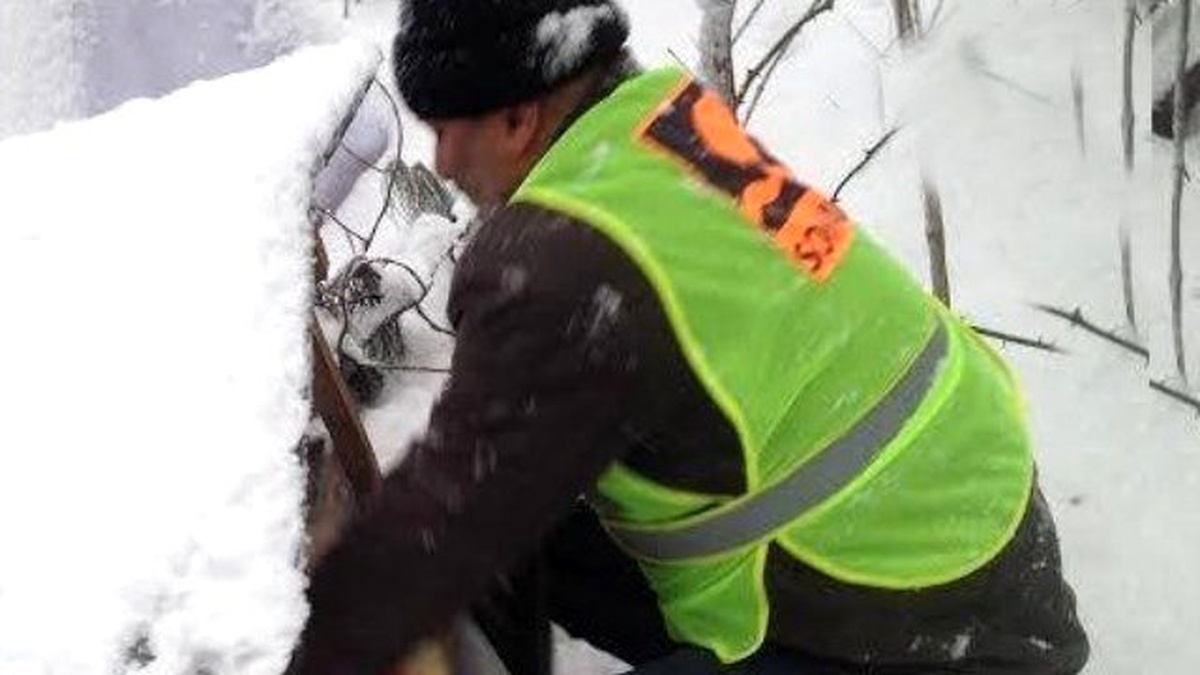 Sohayko, Sokak Hayvanlarına Sahip Çıktı