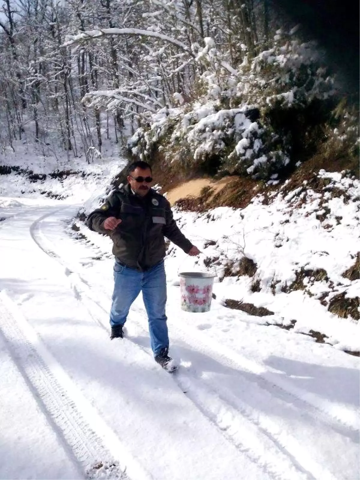 Zonguldak\'ta Yaban Hayvanları İçin Doğaya Yem Bırakıldı