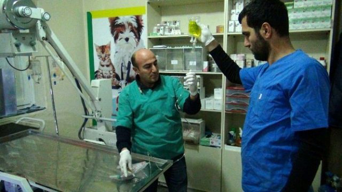 Bölgenin İlk Donanımlı Hayvan Hastanesi Tatvan\'da Kuruldu