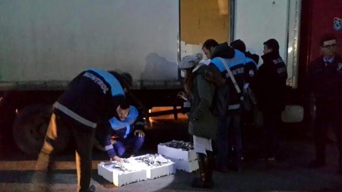 Boy Yasağına Riayet Etmeyen Balıkçılara Para Cezası