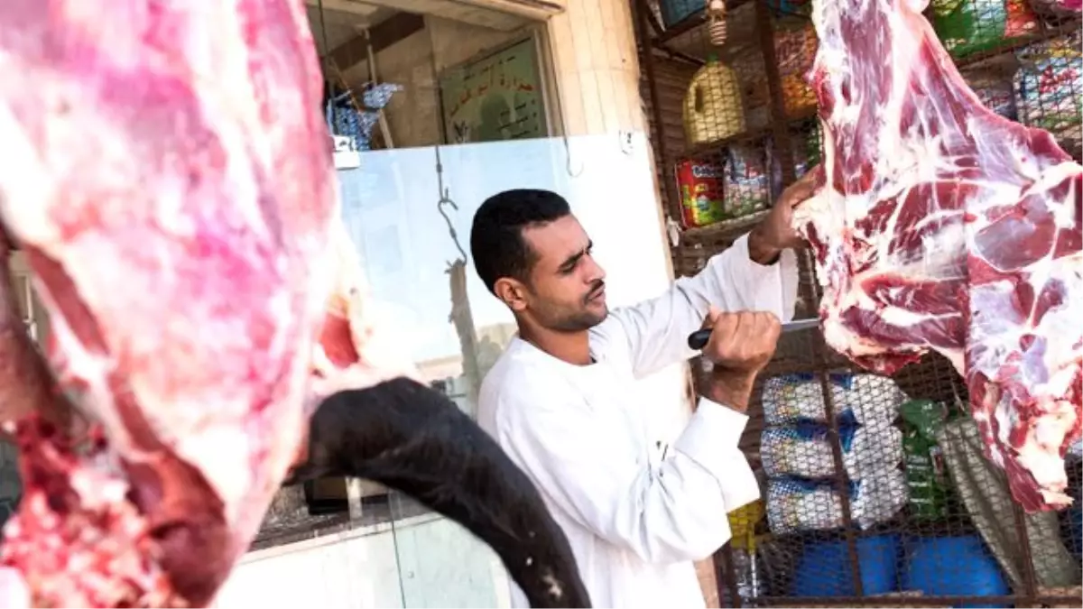 Mısır Yeni Yasayla "Eşek Eti Mafyası"nı Durdurmaya Çalışıyor