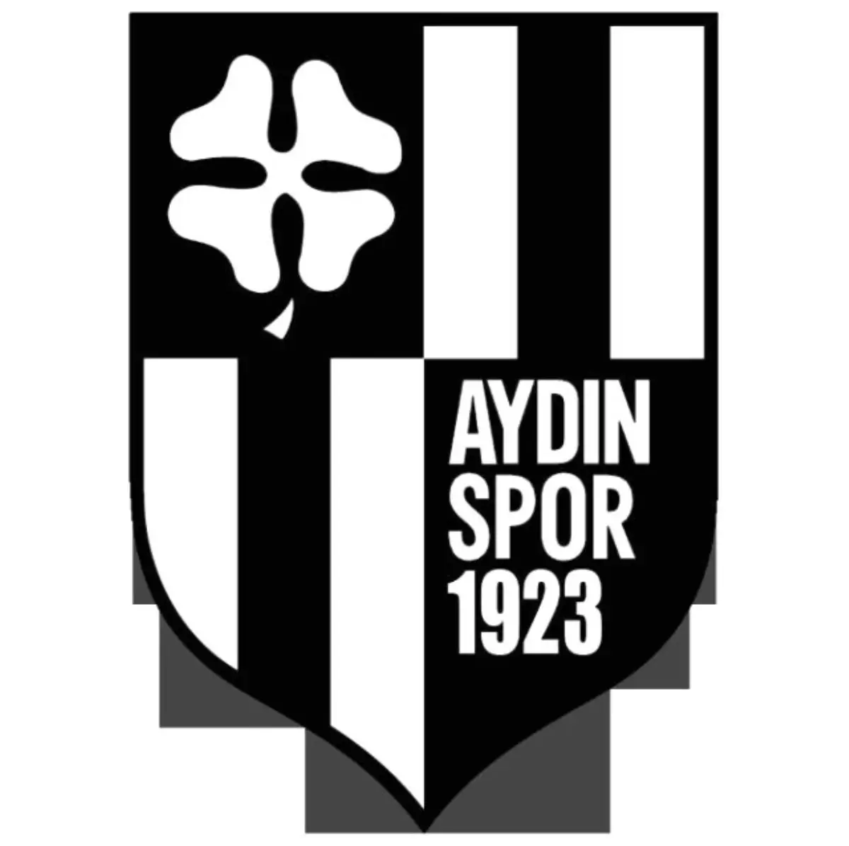 Aydınspor 1923 İki Takviye Yapacak