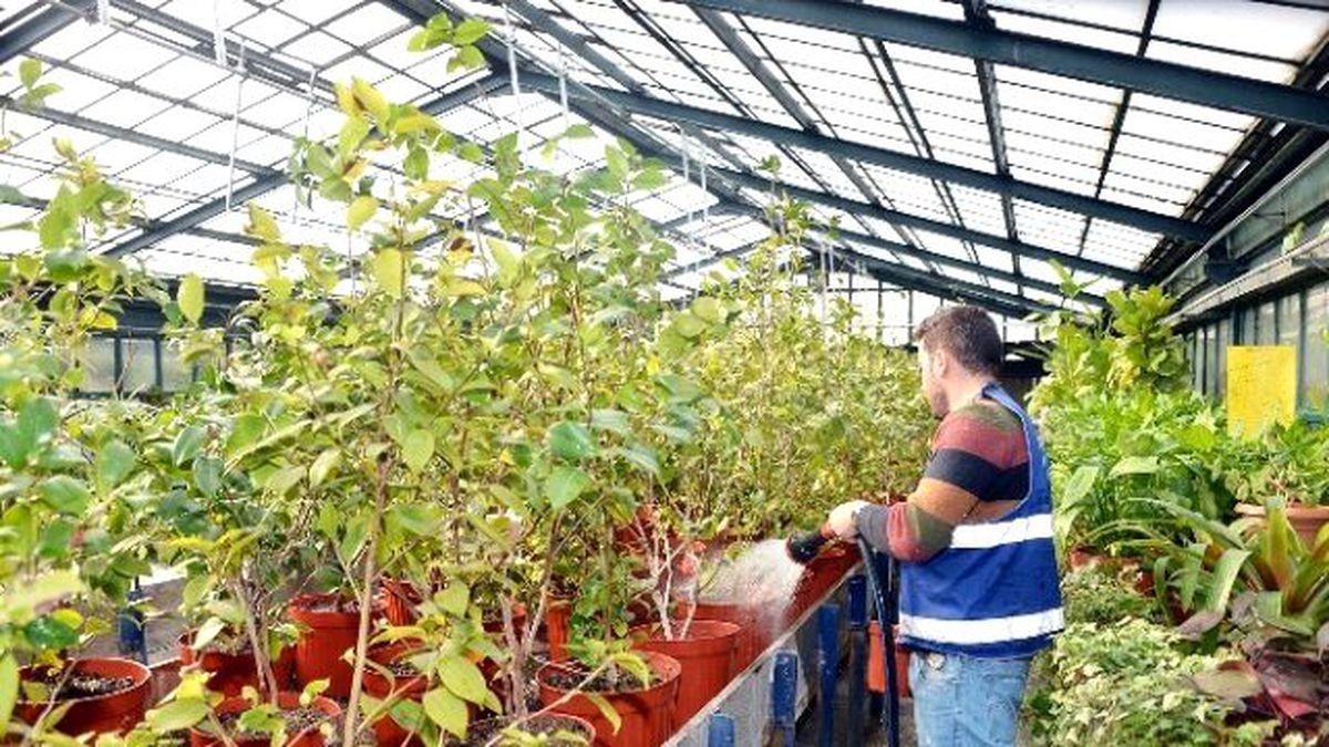 Büyükşehir\'in Çiçek Bahçesi "Seralar"