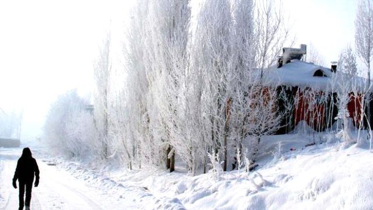 Çaldıran, Gece -41.2 Dereceyi Gördü