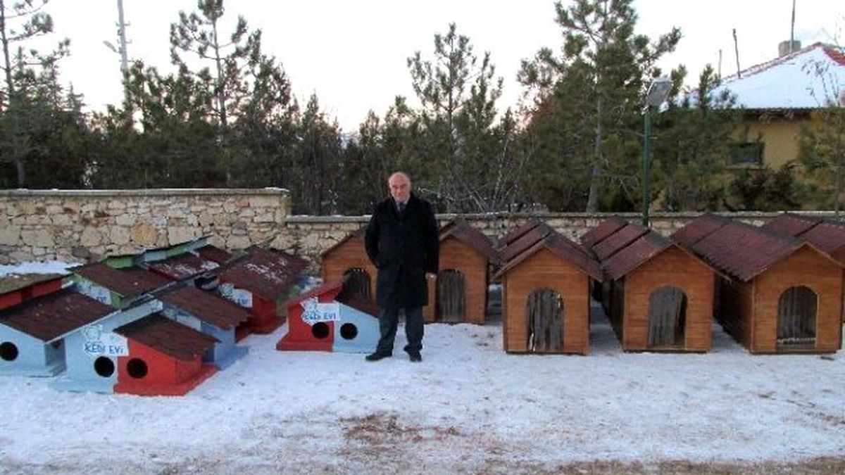 Han\'da Sokak Hayvanları İçin Özel Barınaklar