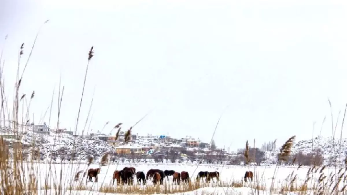 Kayseri\'de Kartpostallık Fotoğraflar