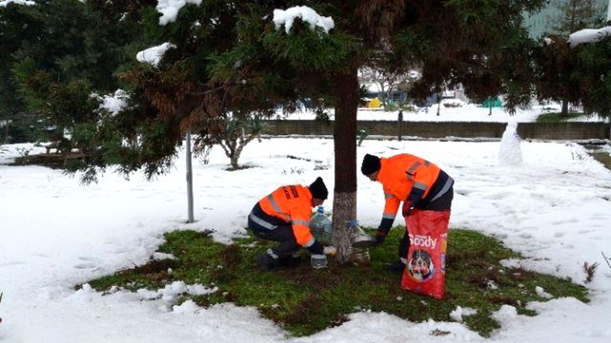 Trabzon\'da Sokak Hayvanları ve Kuşların Beslenebilmesi İçin İstasyonlar Oluşturuldu